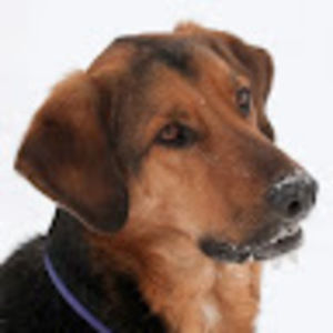 Meet your Posher, Nastassja